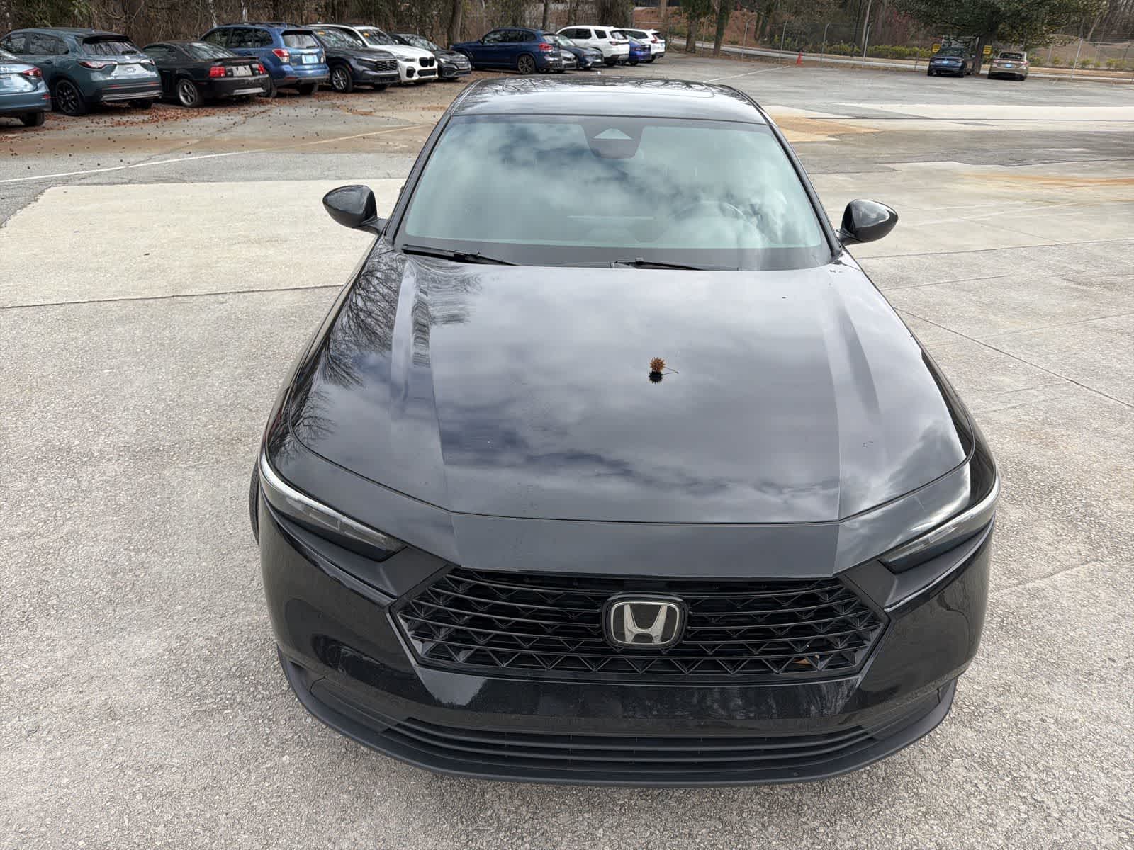 Thumbnail: 2024 Honda Accord - 14