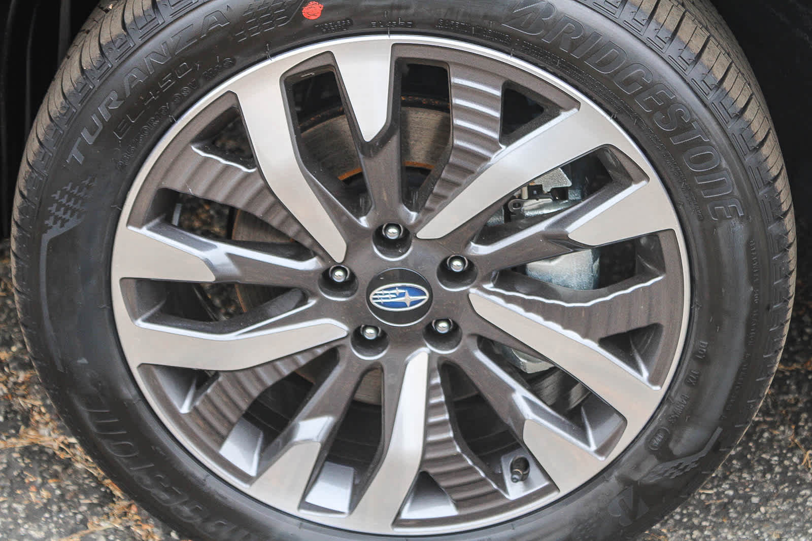 Thumbnail: 2026 Subaru Forester - 10