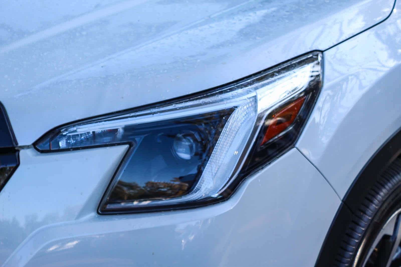 Thumbnail: 2023 Subaru Forester - 8