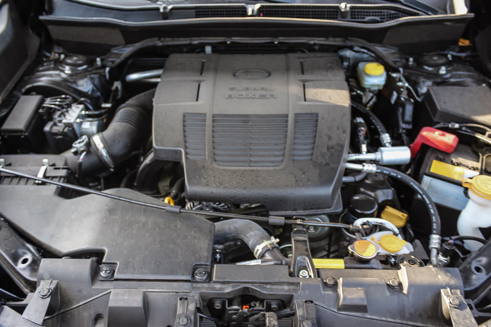 Thumbnail: 2022 Subaru Forester - 20