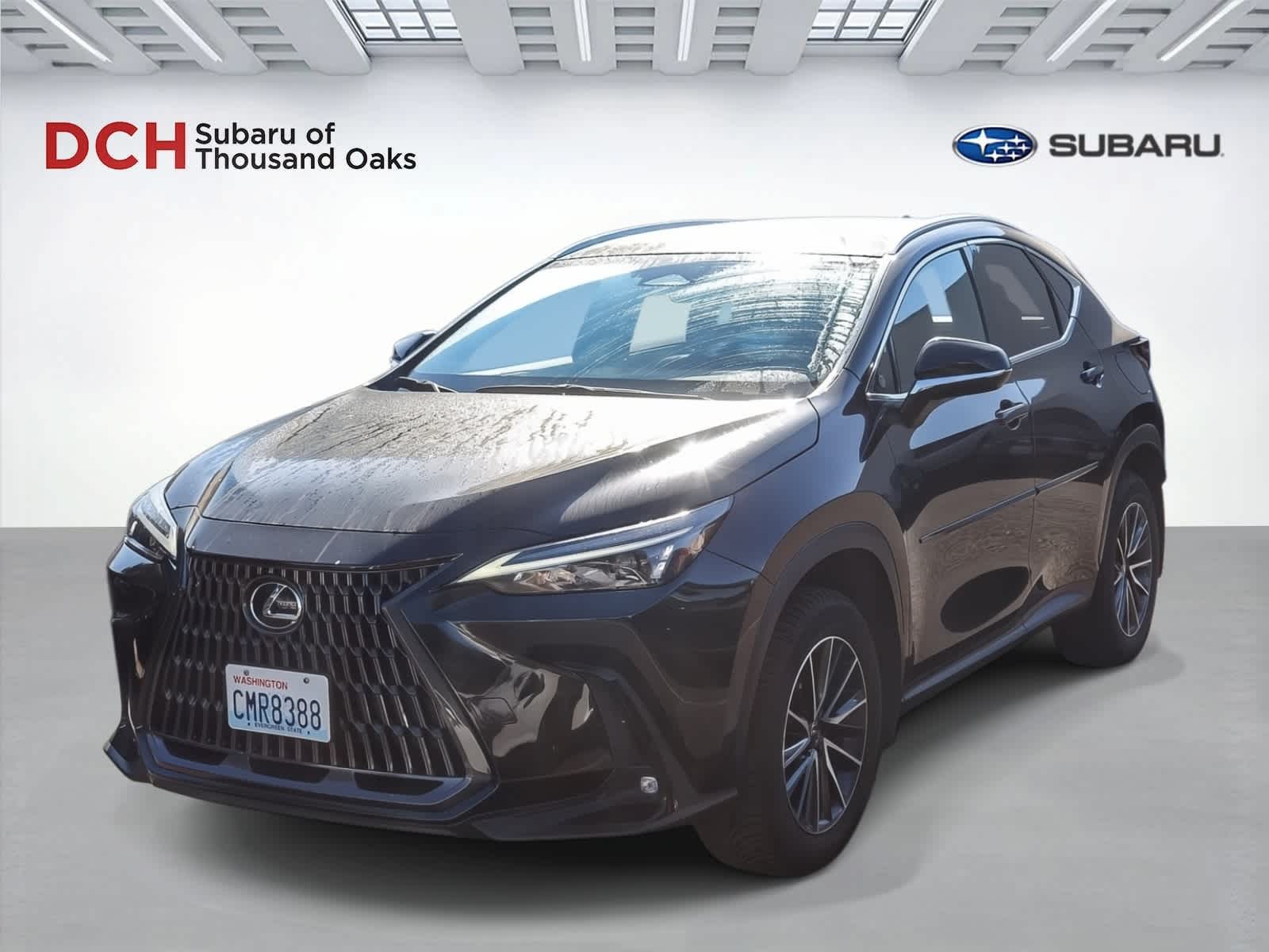 Thumbnail: 2022 Lexus NX - 1