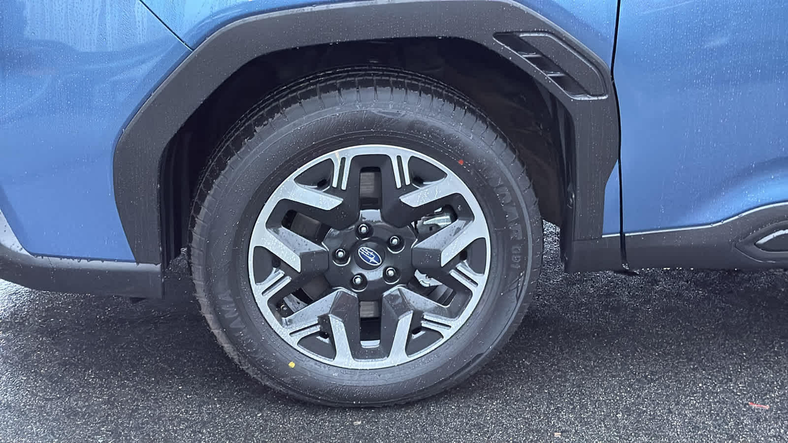 Thumbnail: 2025 Subaru Forester - 10