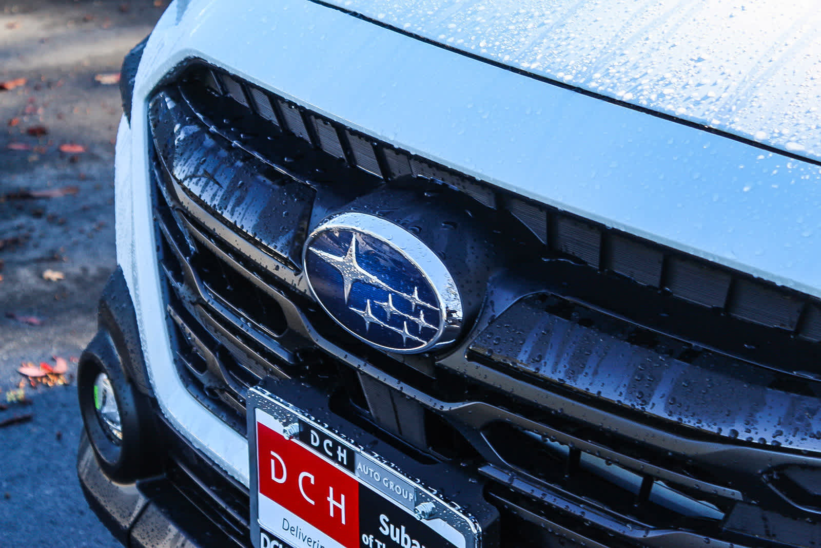 Thumbnail: 2025 Subaru Outback - 9