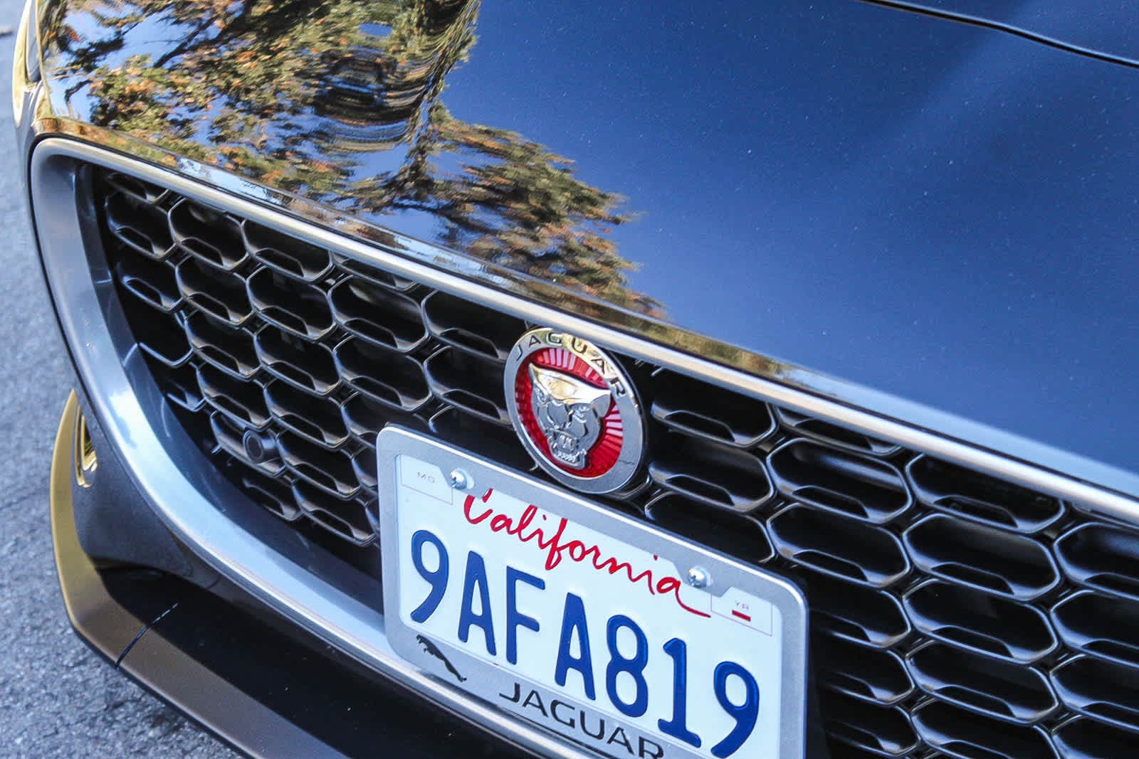 Thumbnail: 2022 Jaguar F-Type - 8