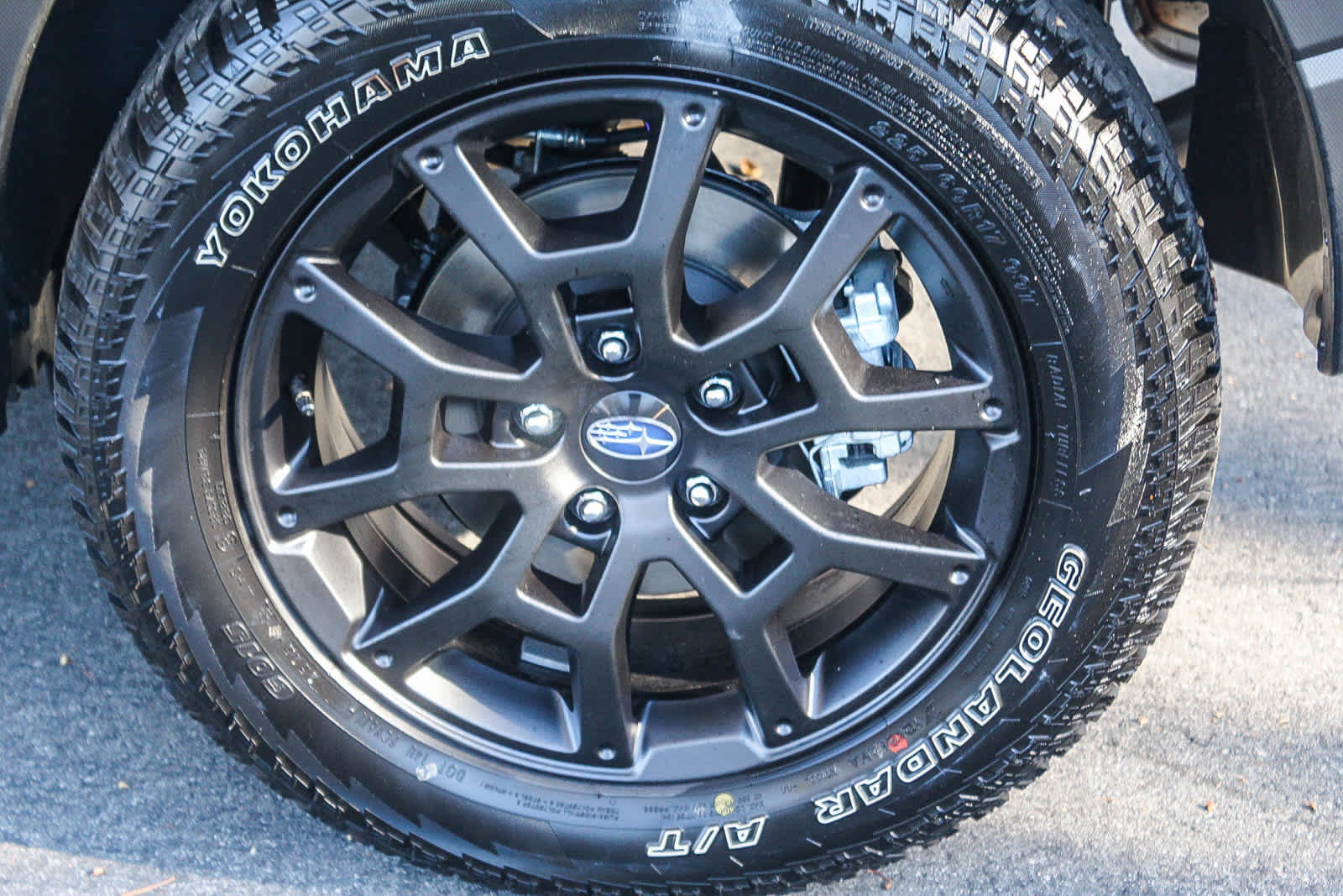 Thumbnail: 2025 Subaru Crosstrek - 11