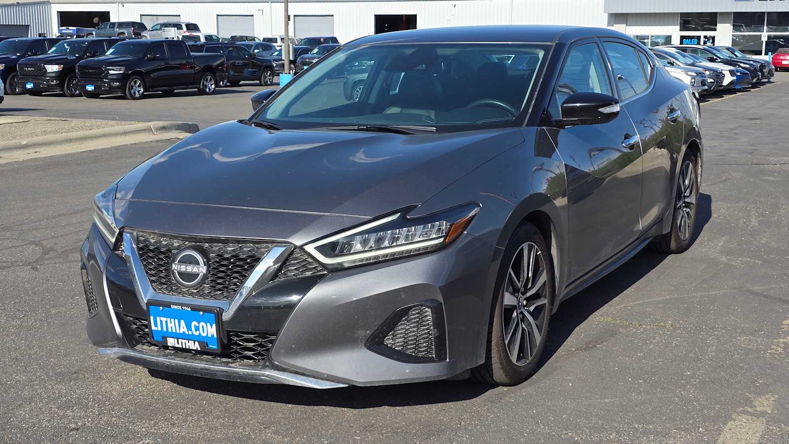 Certified 2023 Nissan Maxima SV with VIN 1N4AA6CV1PC511159 for sale in Billings, MT