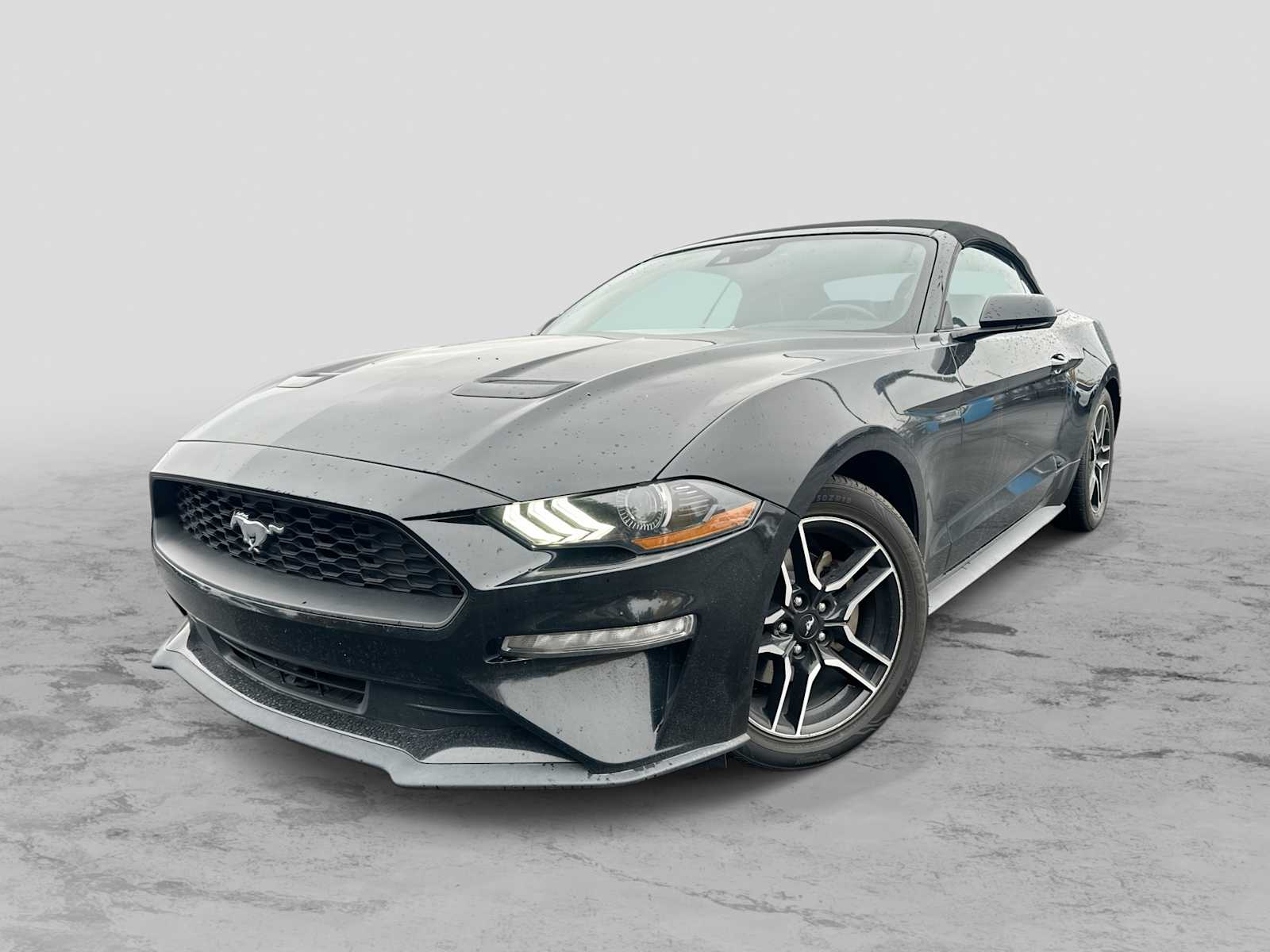 2022 Ford Mustang  -
                  Billings, MT