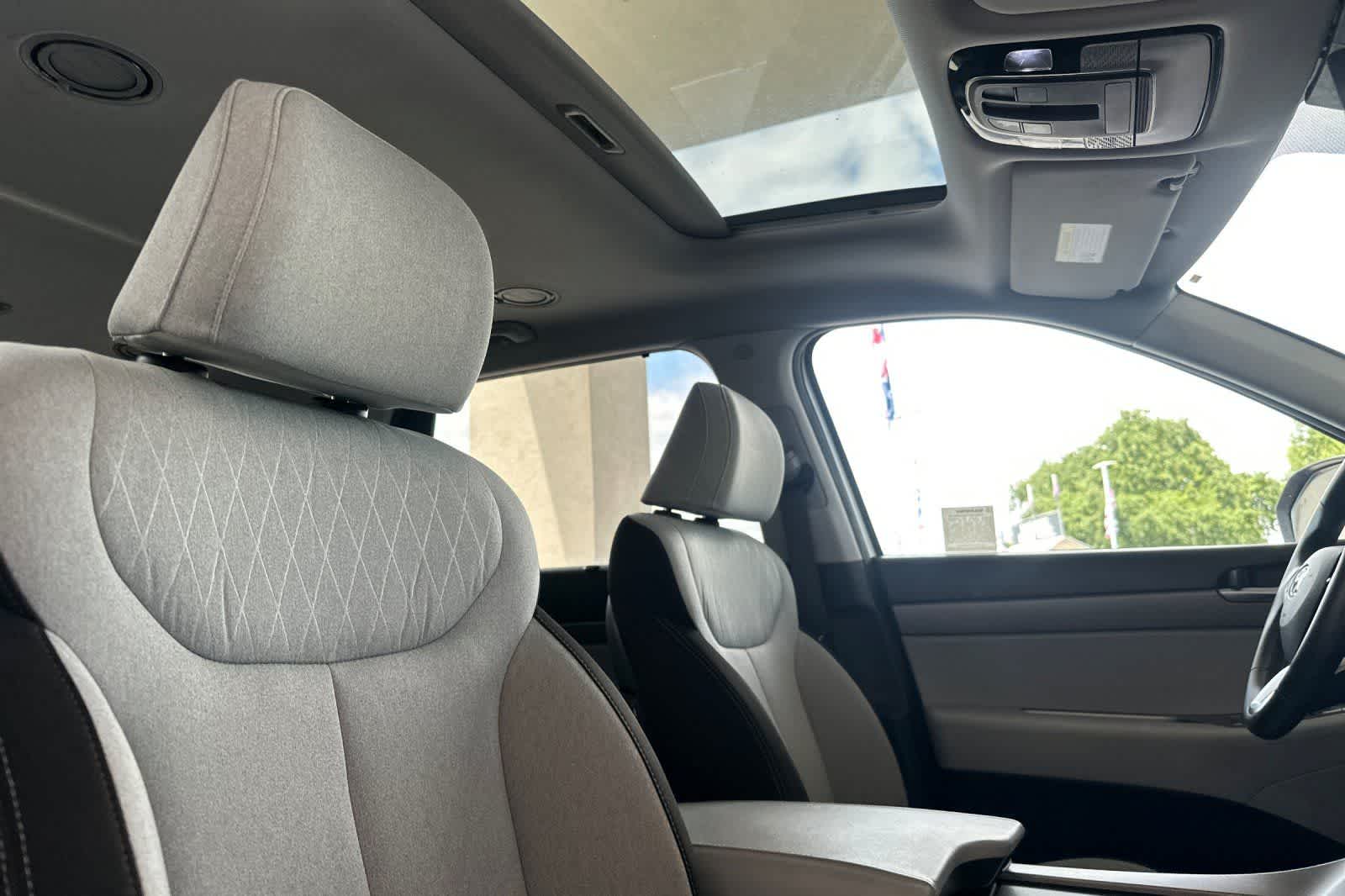 Thumbnail: 2021 Hyundai Palisade - 19