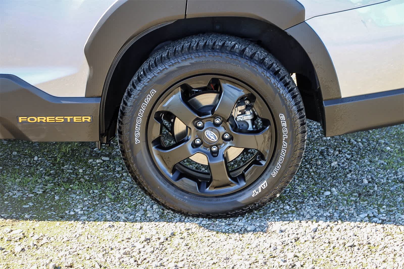 Thumbnail: 2023 Subaru Forester - 10