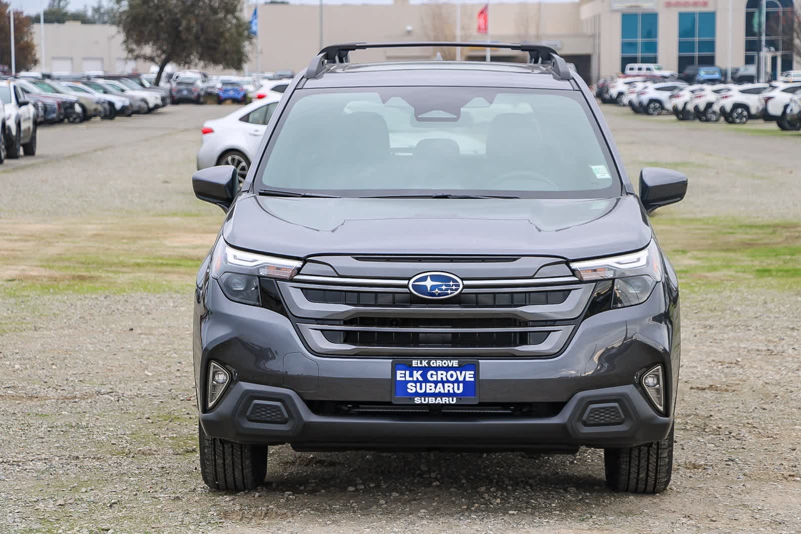 Thumbnail: 2026 Subaru Forester - 17