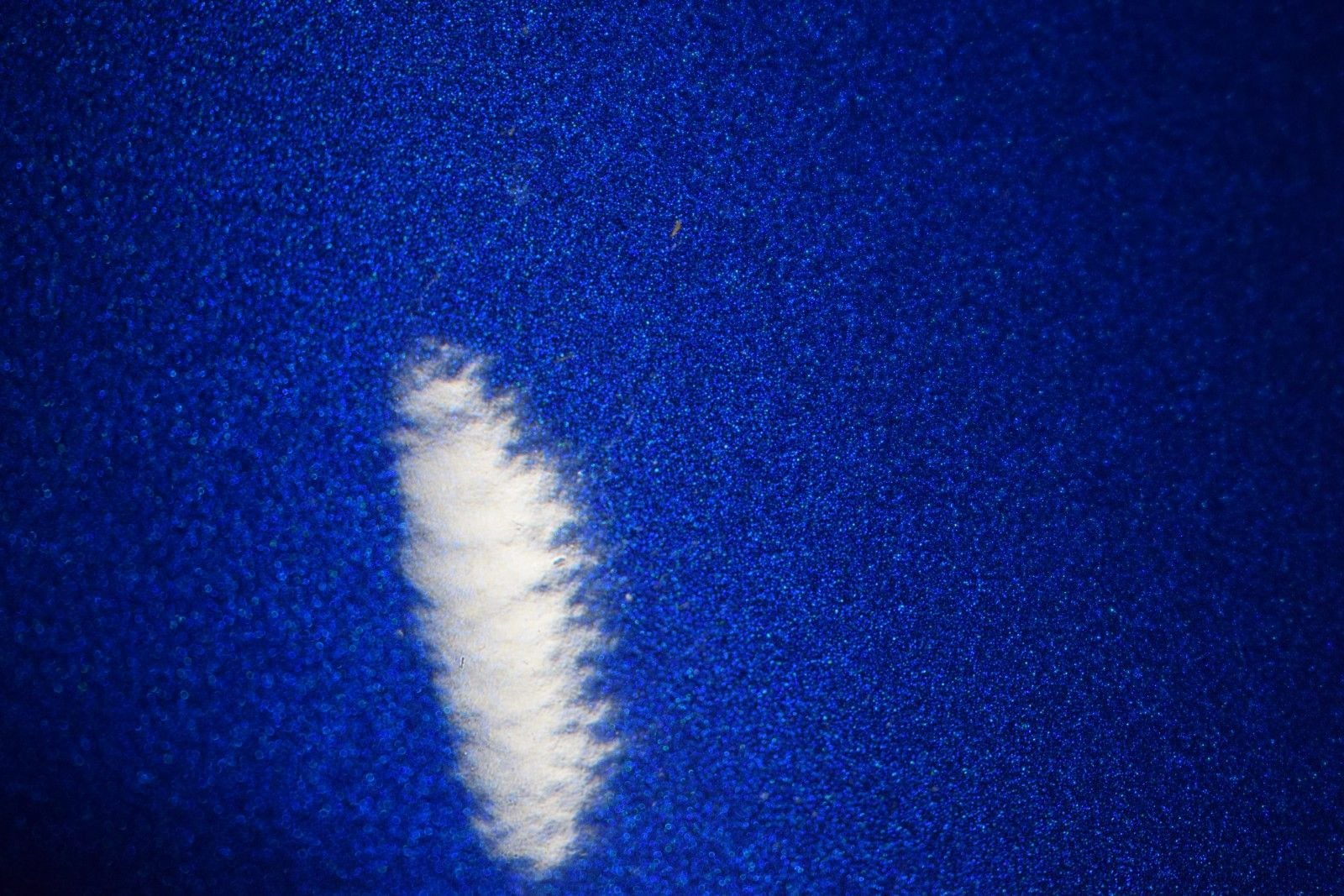 Thumbnail: 2025 BMW X5 - 4