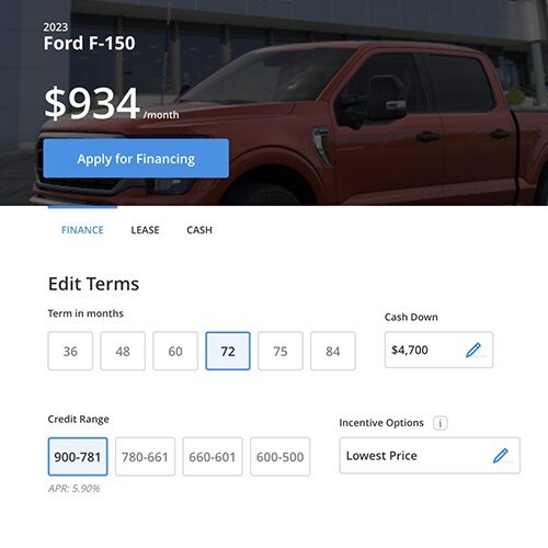 Step 2. Personalize your payment