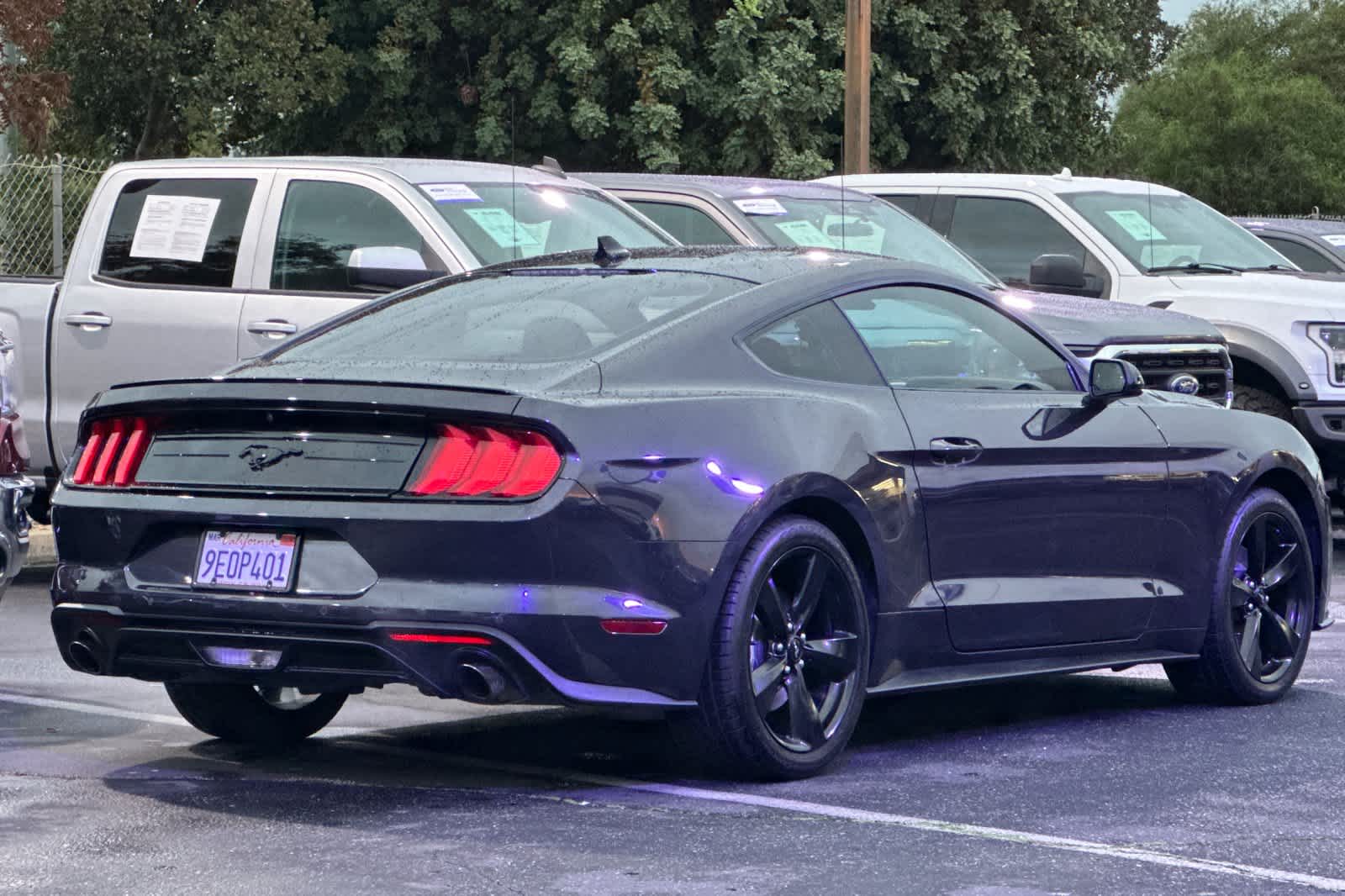 2023 Ford Mustang EcoBoost photo 2