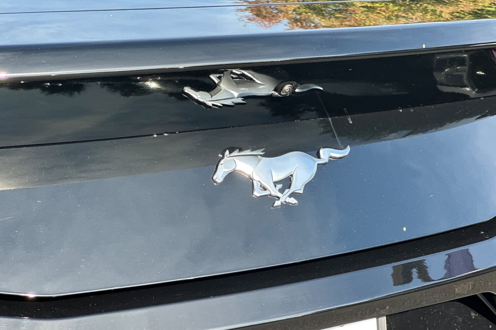 Thumbnail: 2026 Ford Mustang - 27