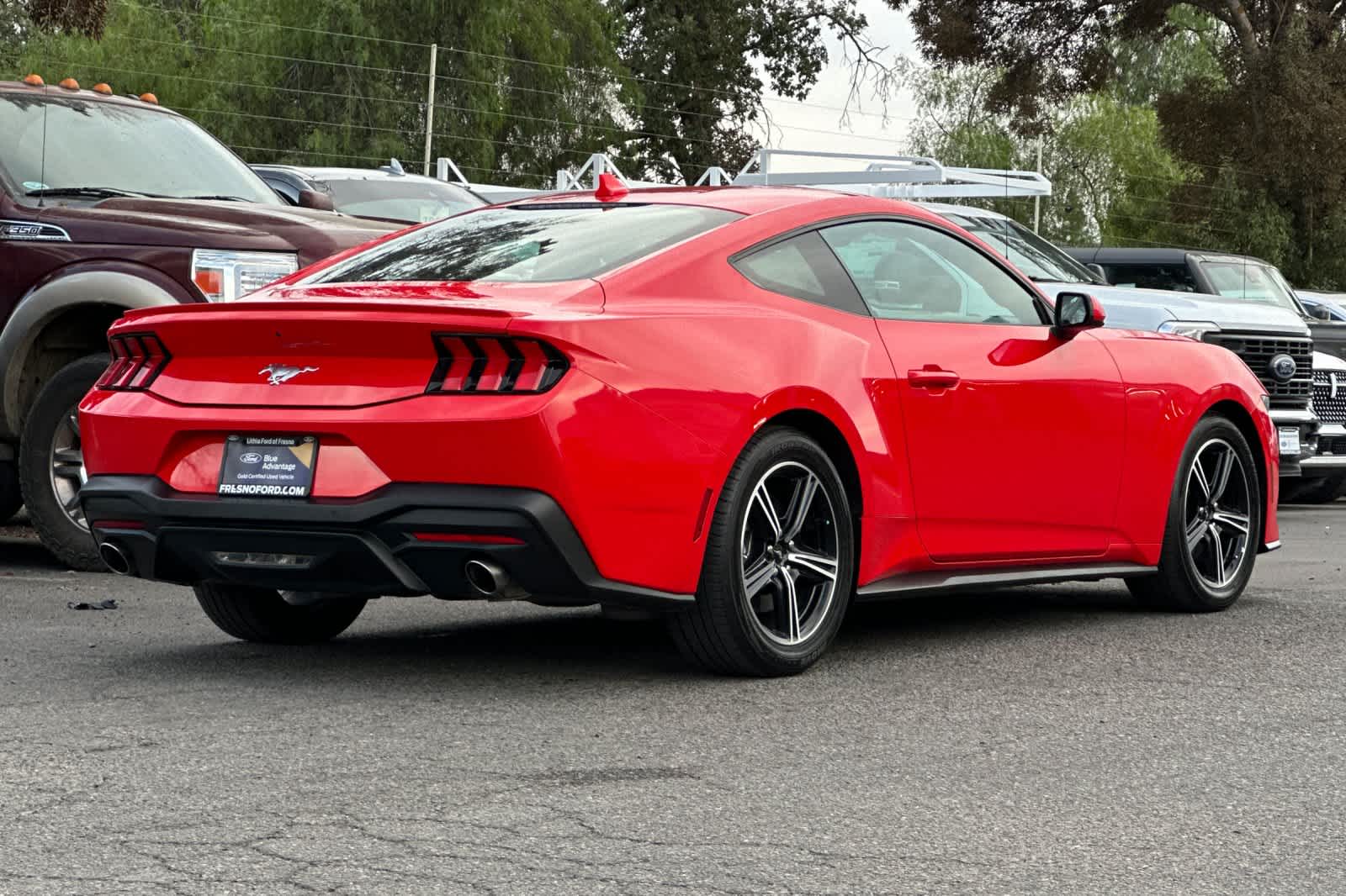 2024 Ford Mustang EcoBoost Premium photo 2