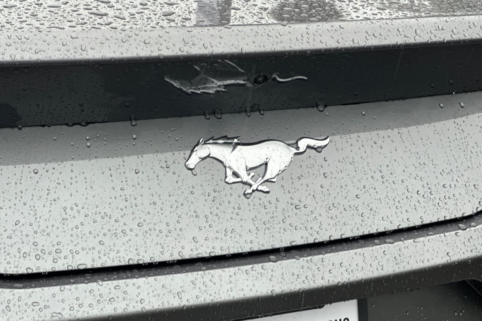 Thumbnail: 2025 Ford Mustang - 26