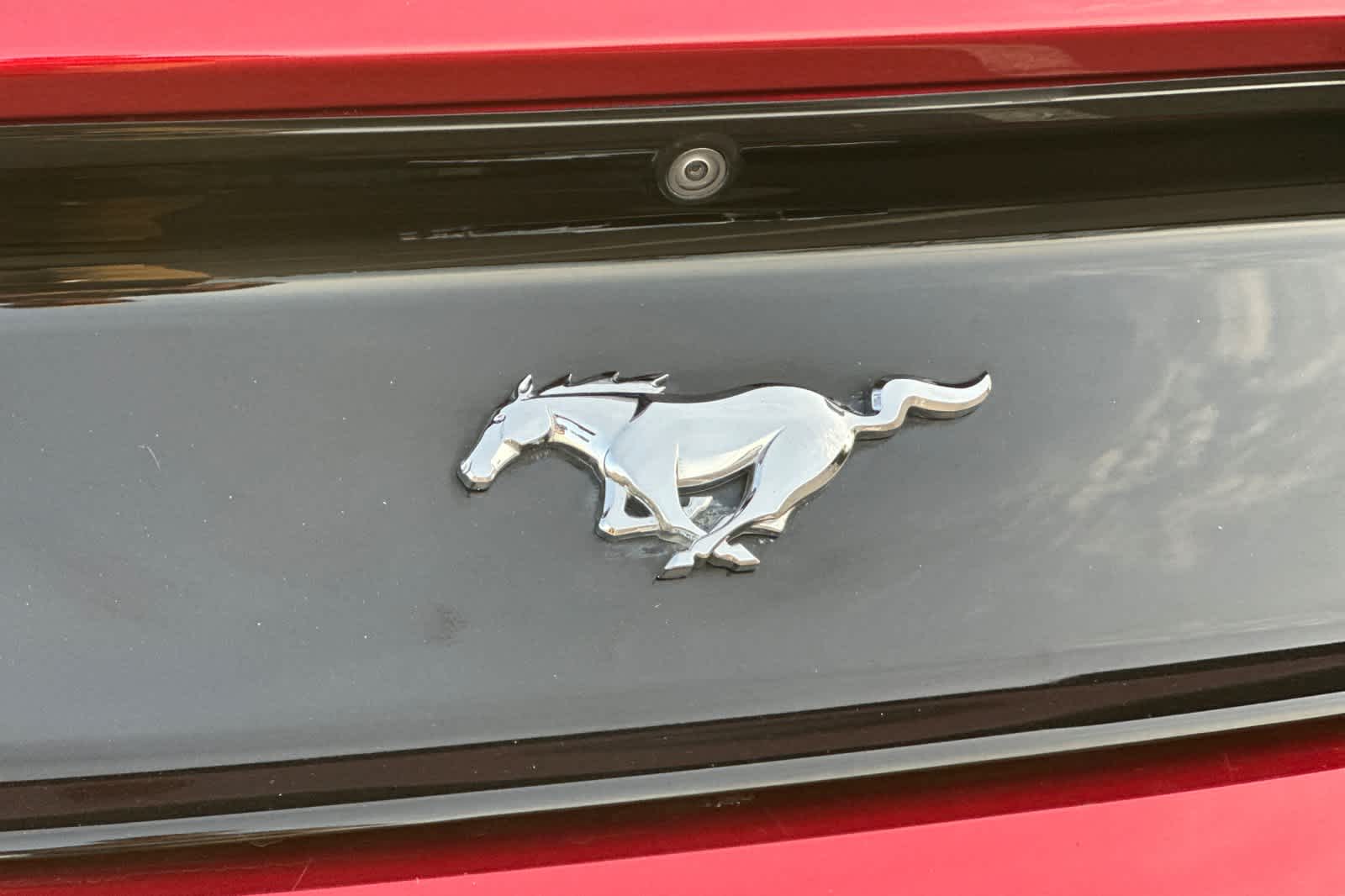 Thumbnail: 2016 Ford Mustang - 25