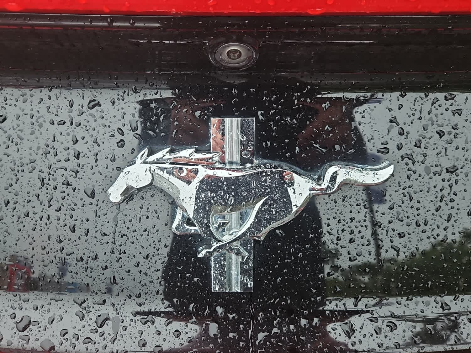 Thumbnail: 2017 Ford Mustang - 13