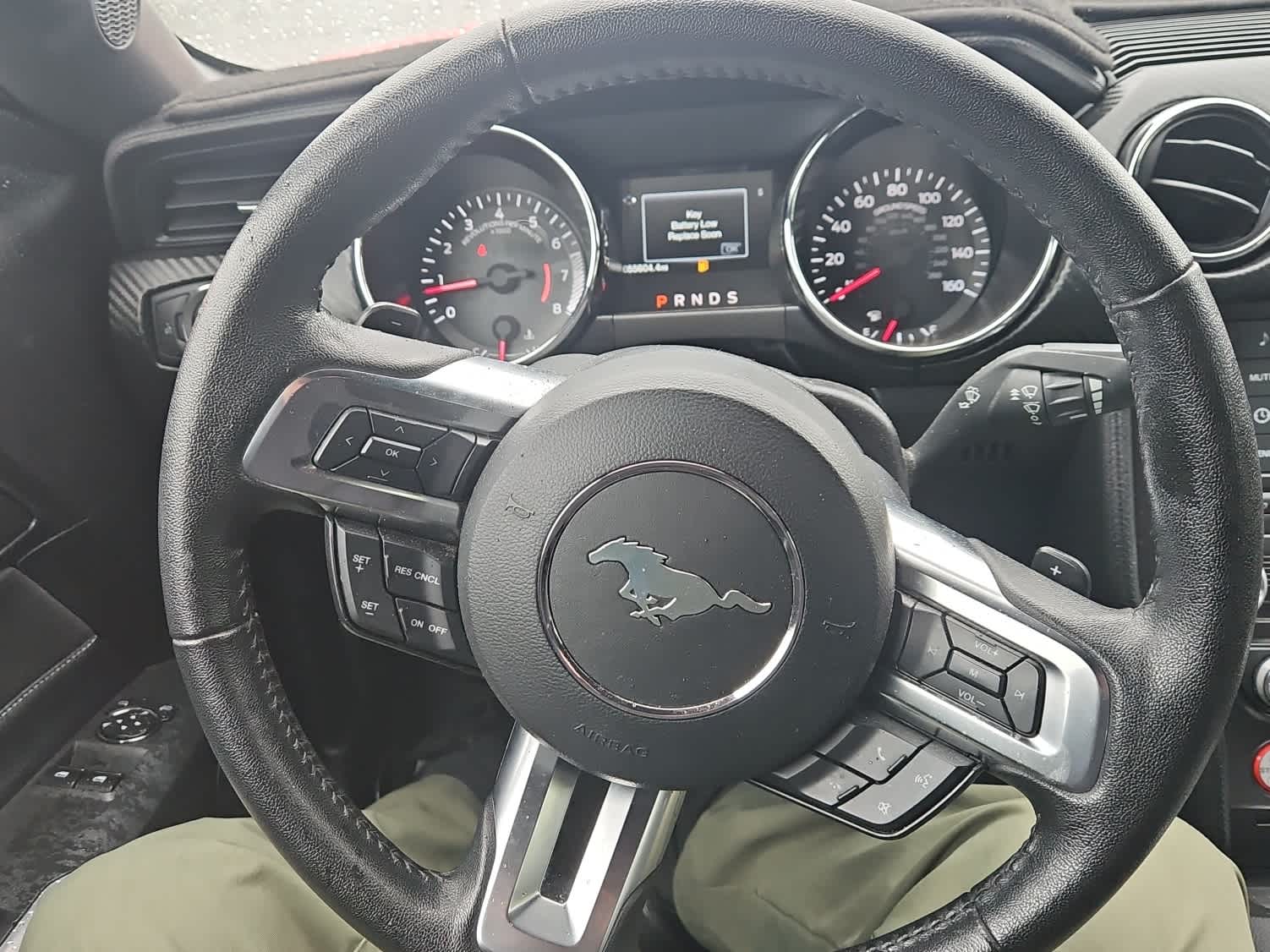 Thumbnail: 2017 Ford Mustang - 15