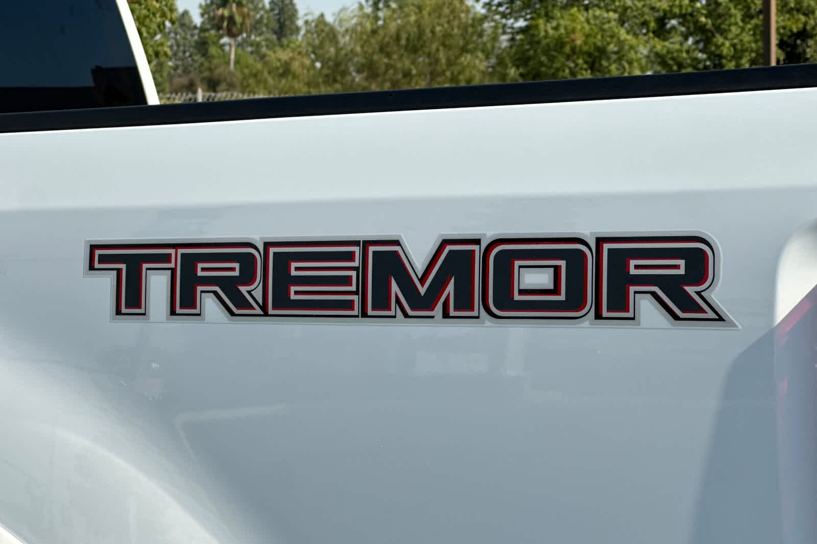 Thumbnail: 2021 Ford F-250 - 25