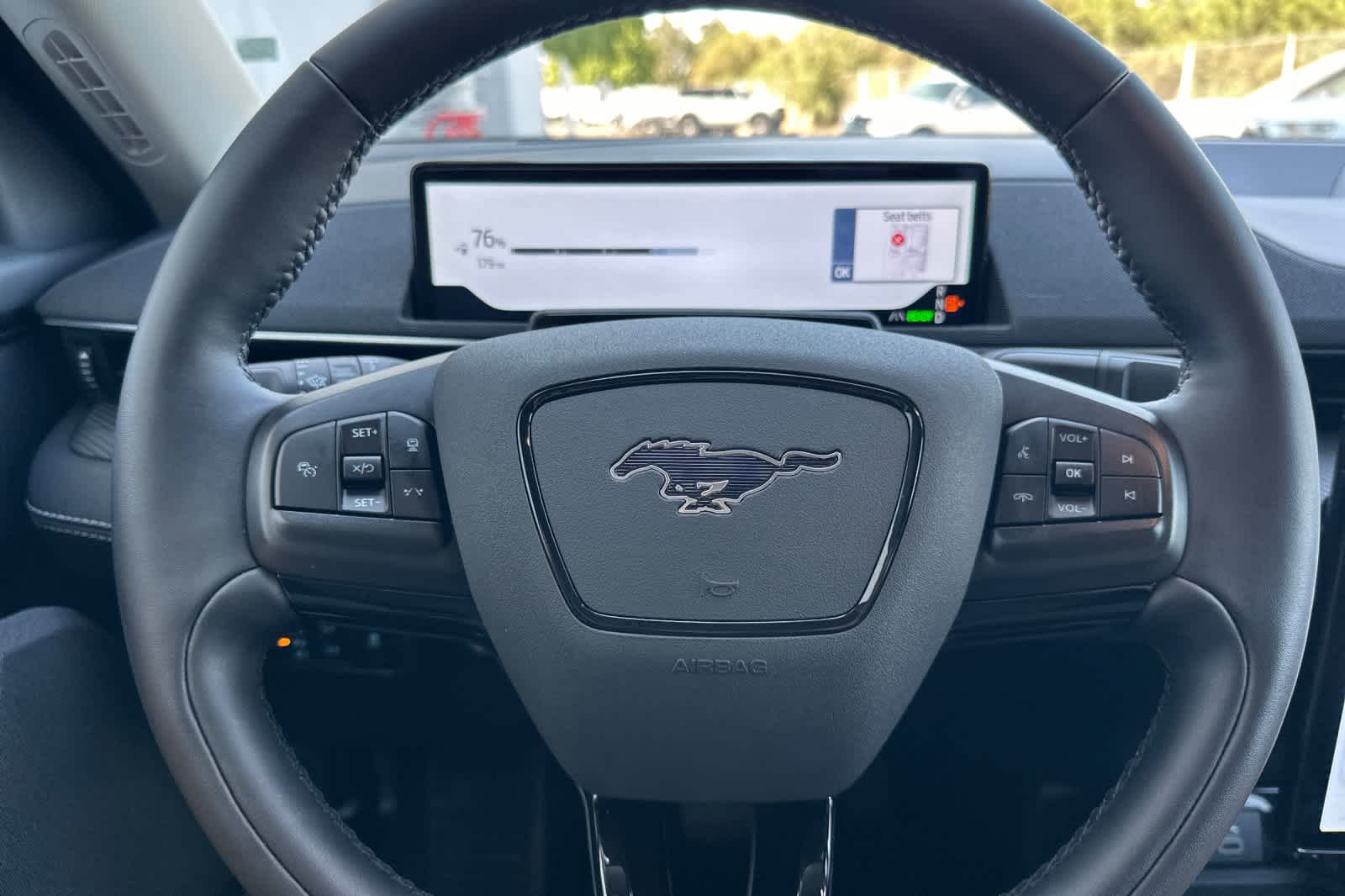 Thumbnail: 2025 Ford Mustang Mach-E - 24