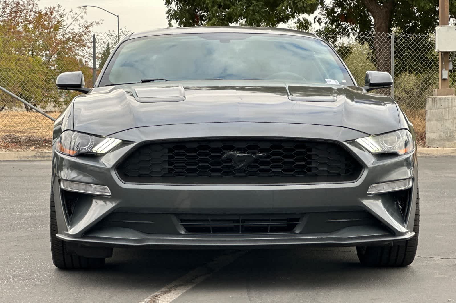 Thumbnail: 2019 Ford Mustang - 11
