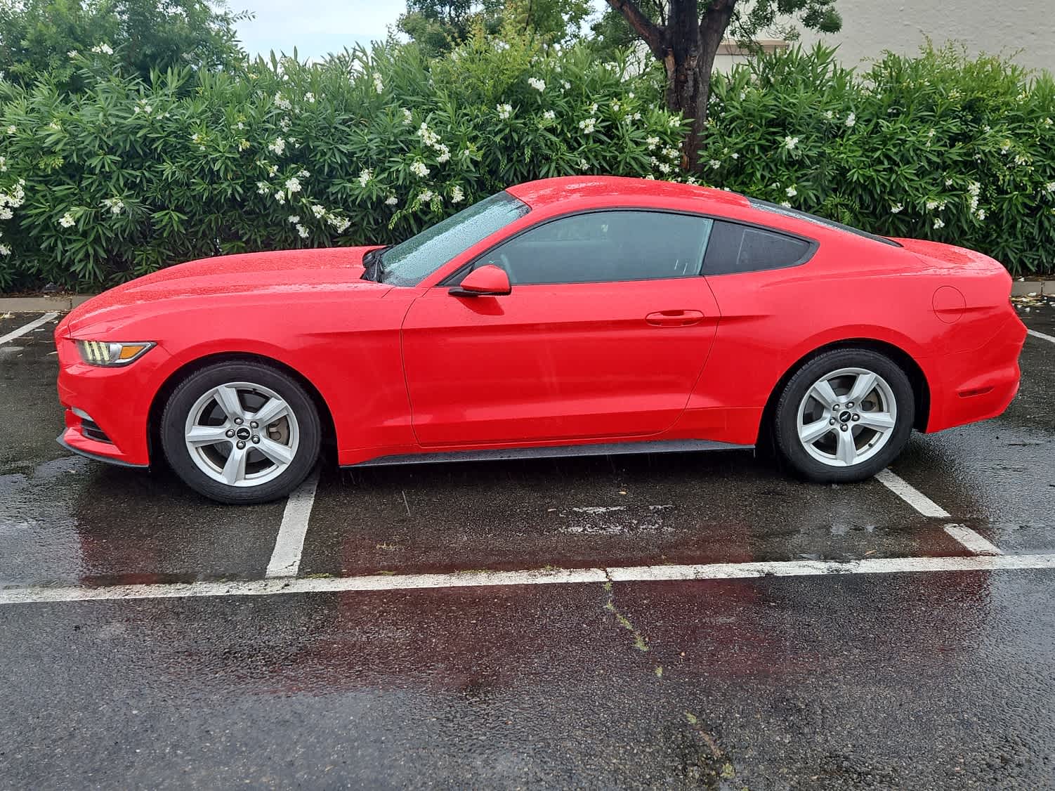 Thumbnail: 2017 Ford Mustang - 5