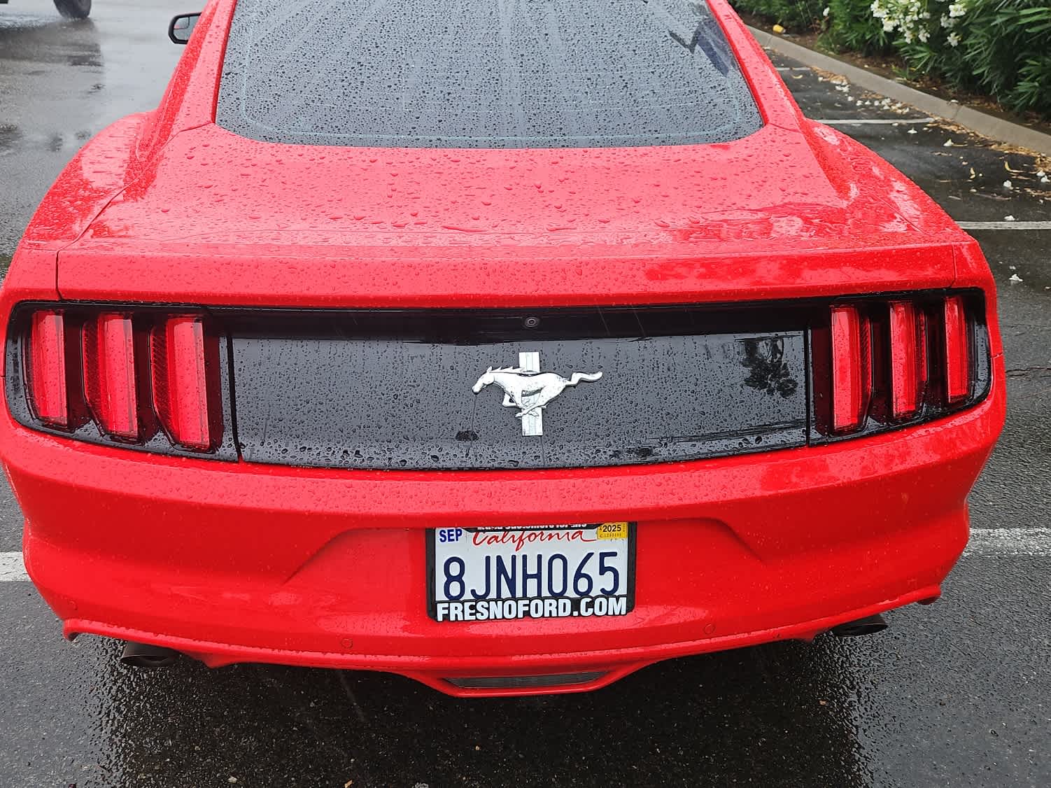 Thumbnail: 2017 Ford Mustang - 8