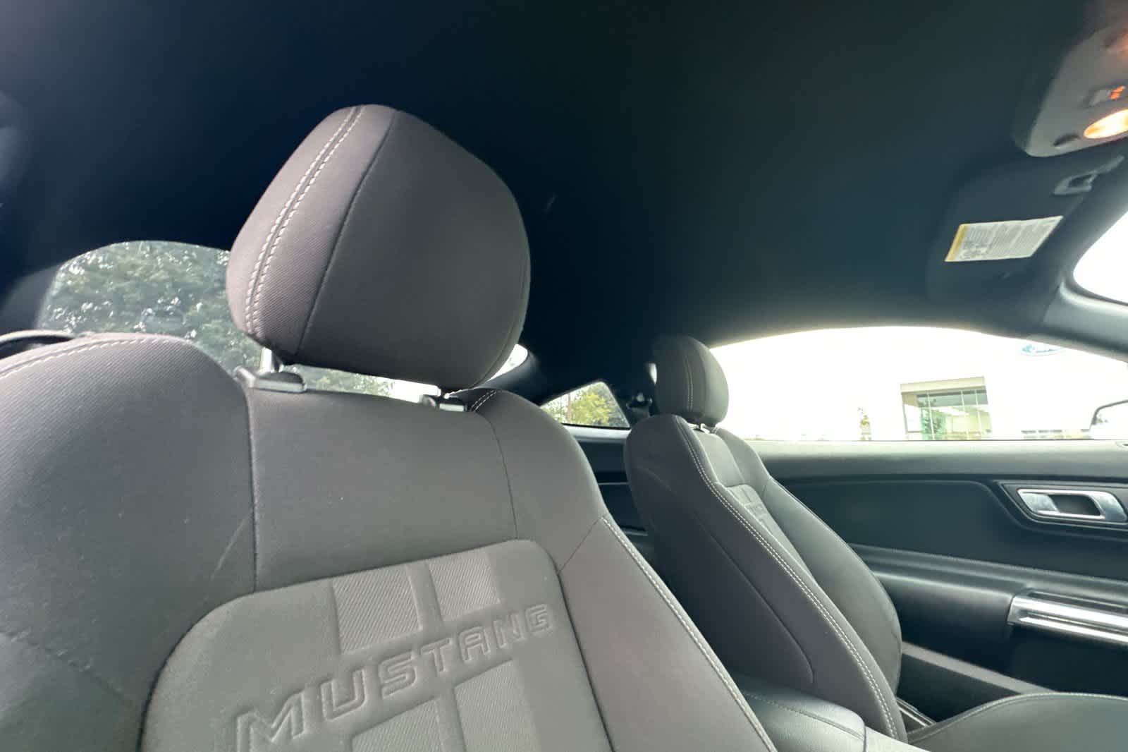 Thumbnail: 2019 Ford Mustang - 17