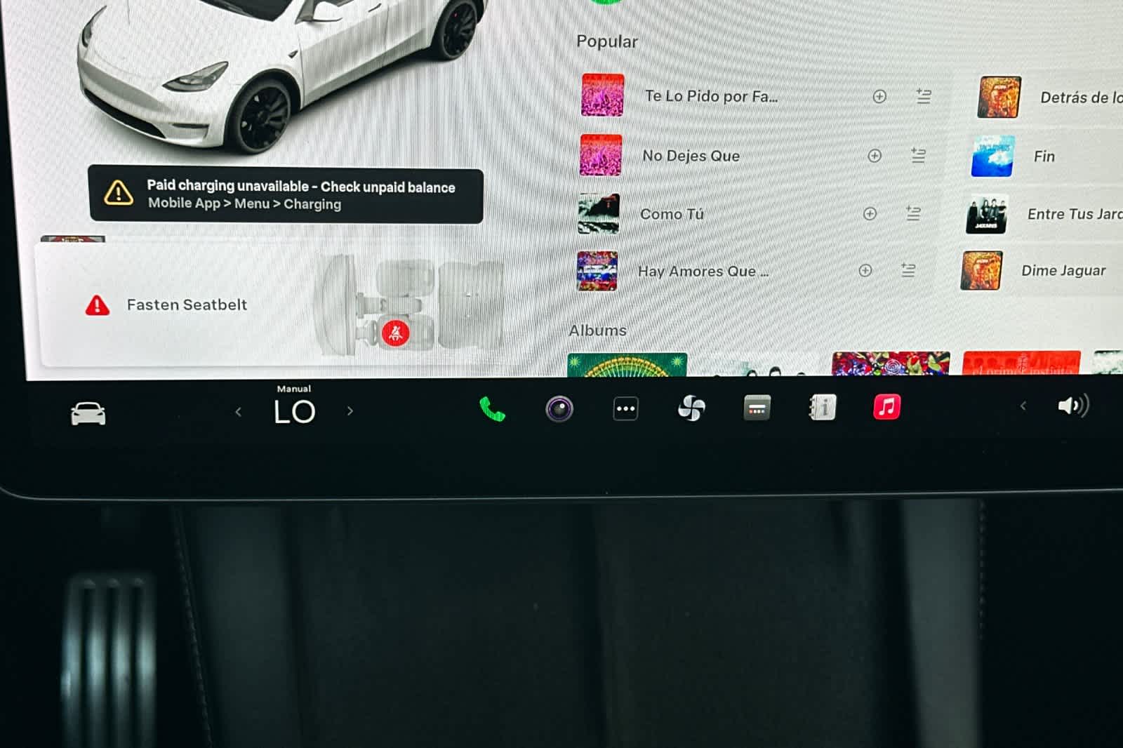 Thumbnail: 2021 Tesla Model Y - 20