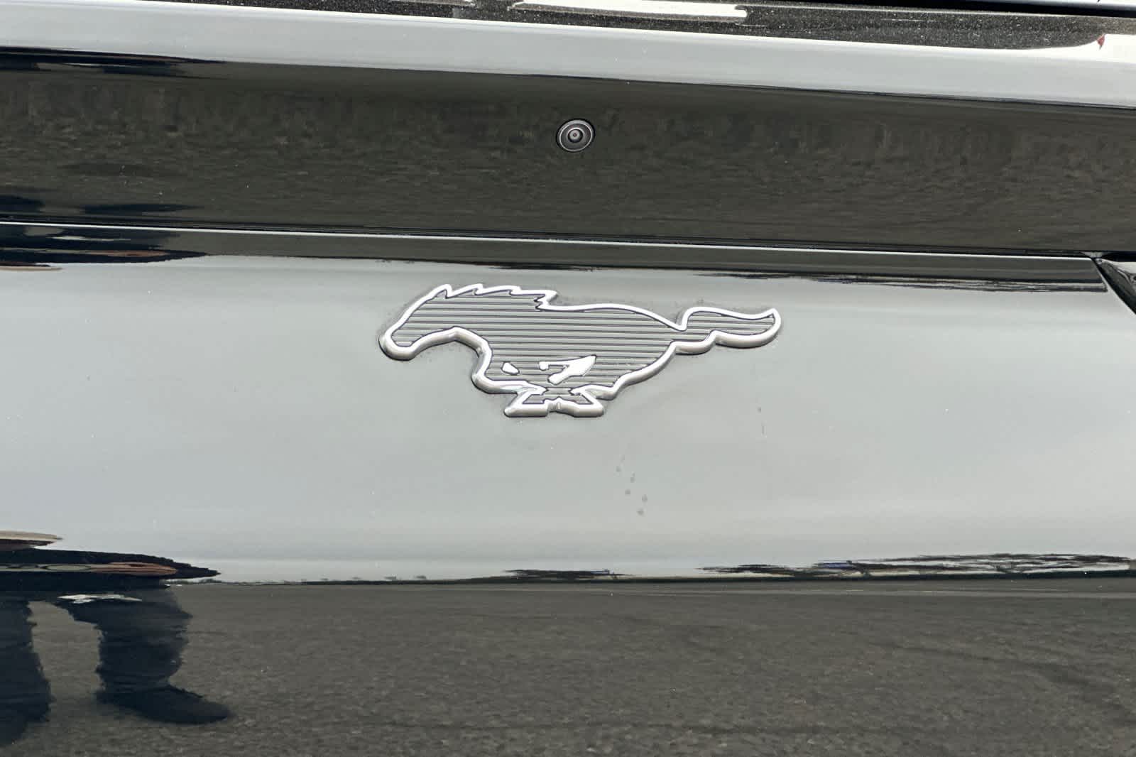 Thumbnail: 2022 Ford Mustang Mach-E - 26