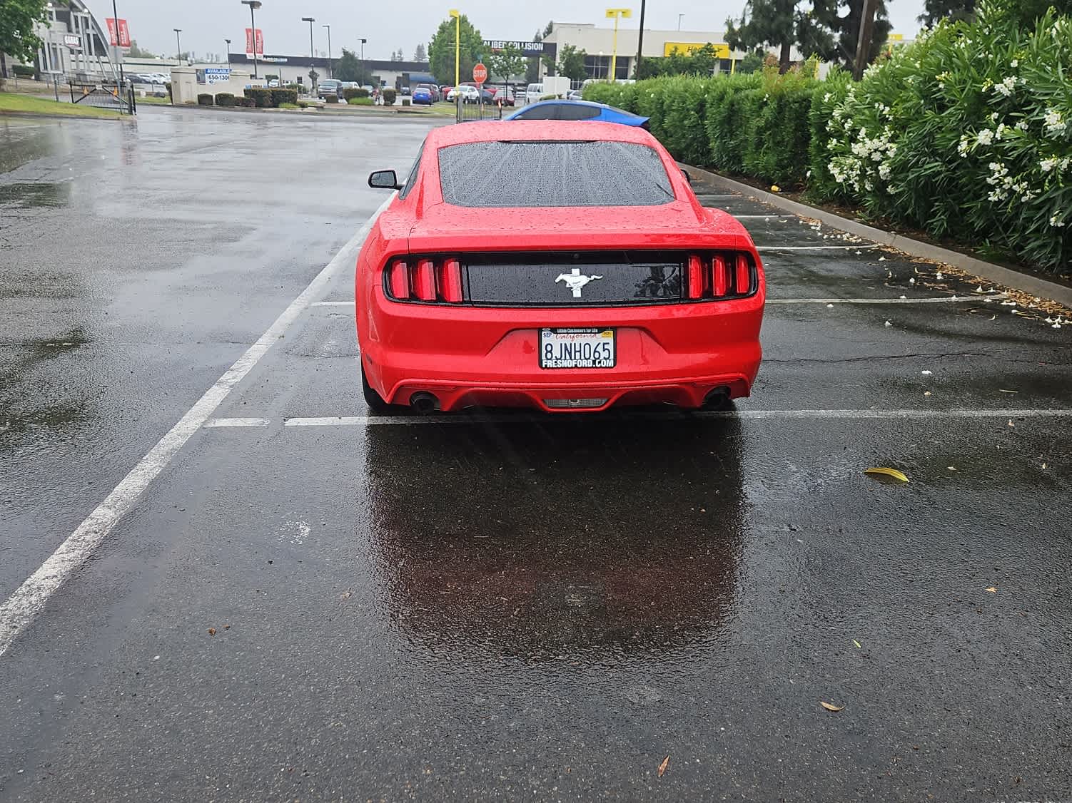 Thumbnail: 2017 Ford Mustang - 7