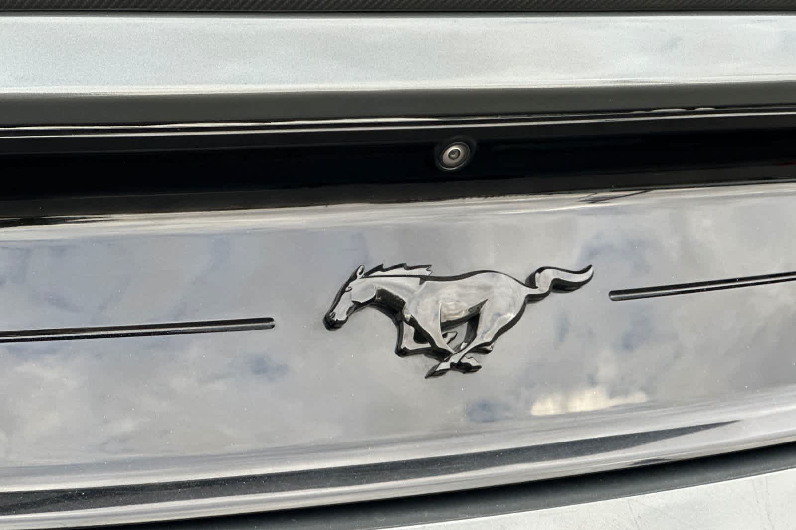 Thumbnail: 2019 Ford Mustang - 27