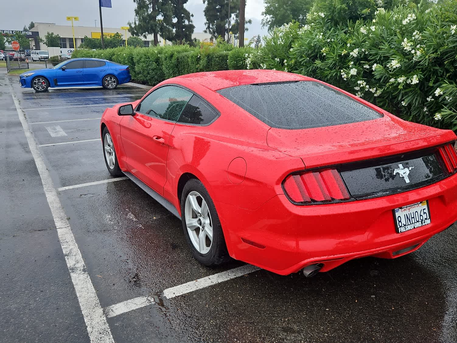 Thumbnail: 2017 Ford Mustang - 6