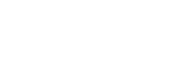 Lithia Service