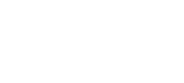 Lithia Parts