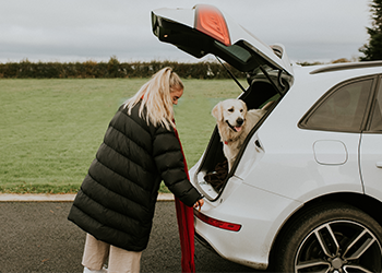 Best Hatchbacks for First-Time Buyers Best Hatchbacks for First-Time Buyers