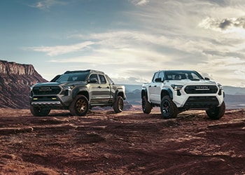 Top-Selling Pickup Trucks of 2025 Top-Selling Pickup Trucks of 2025