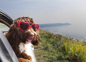 How to Get Your Car Ready for Summer How to Get Your Car Ready for Summer