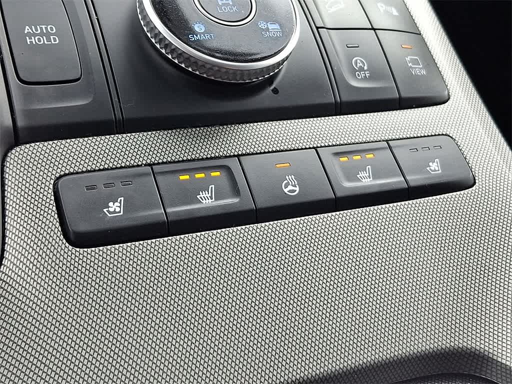 Thumbnail: 2021 Hyundai Palisade - 18