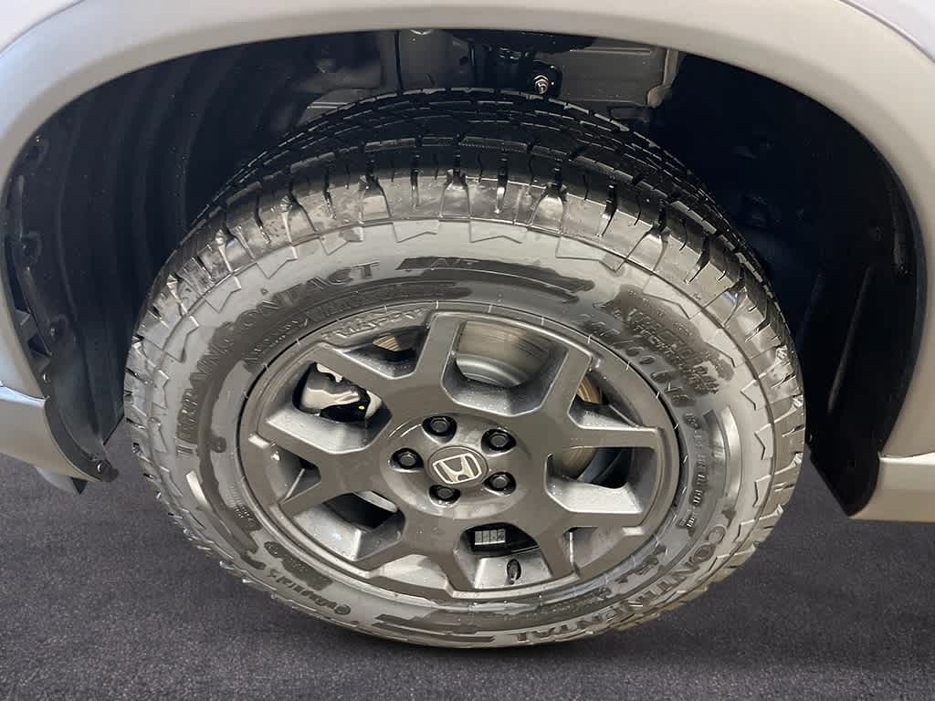 Thumbnail: 2026 Honda Pilot - 11