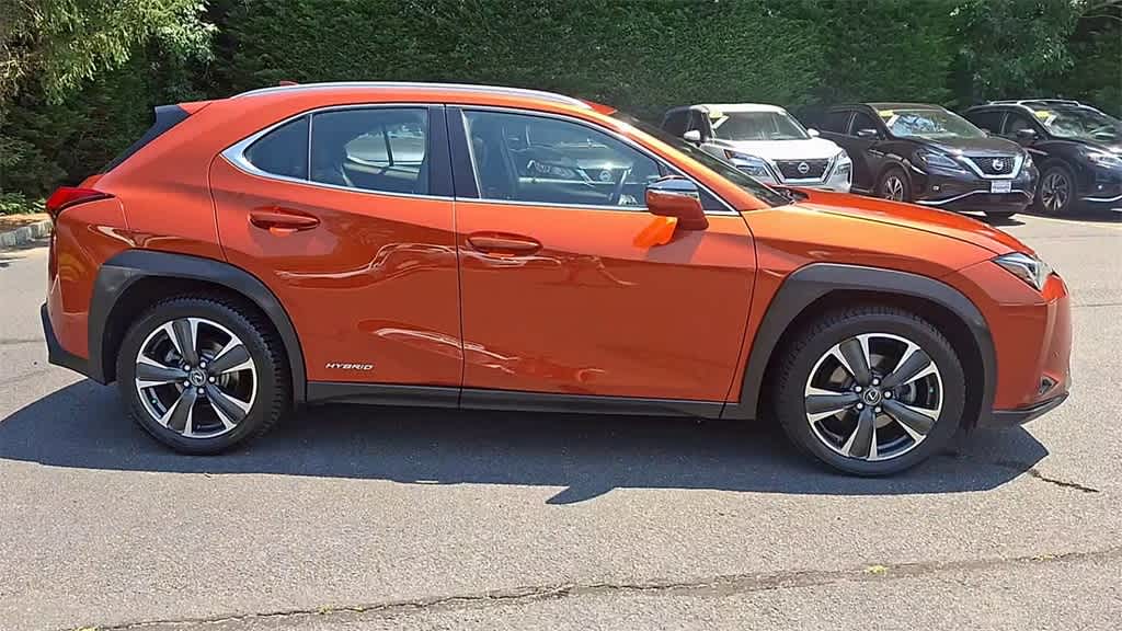 2019 Lexus UX 250h 9
