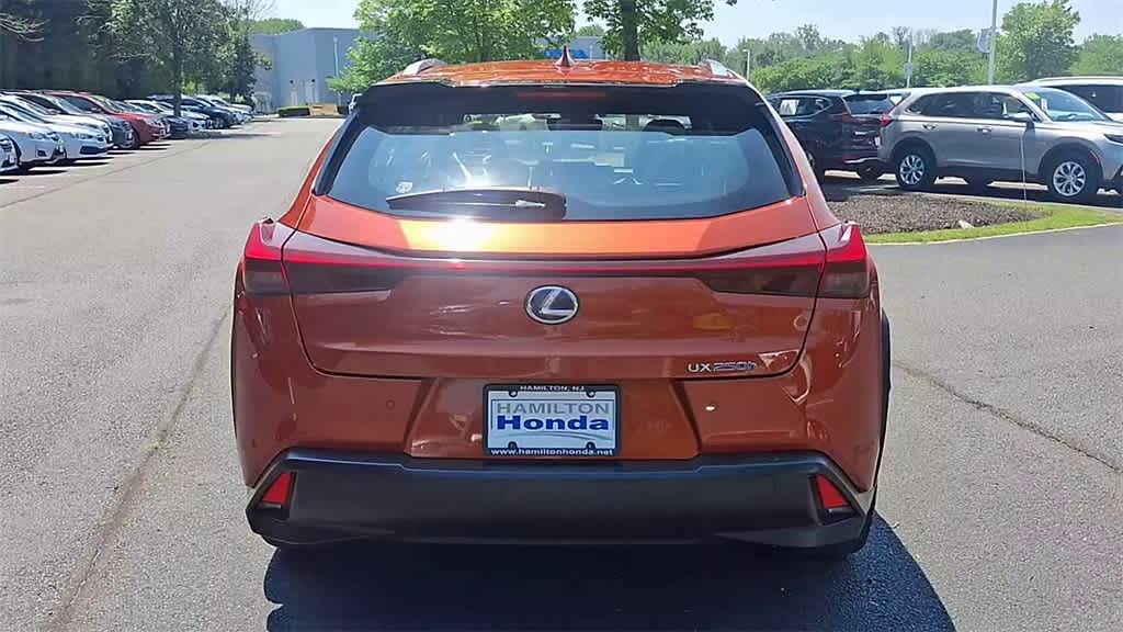 2019 Lexus UX 250h 7