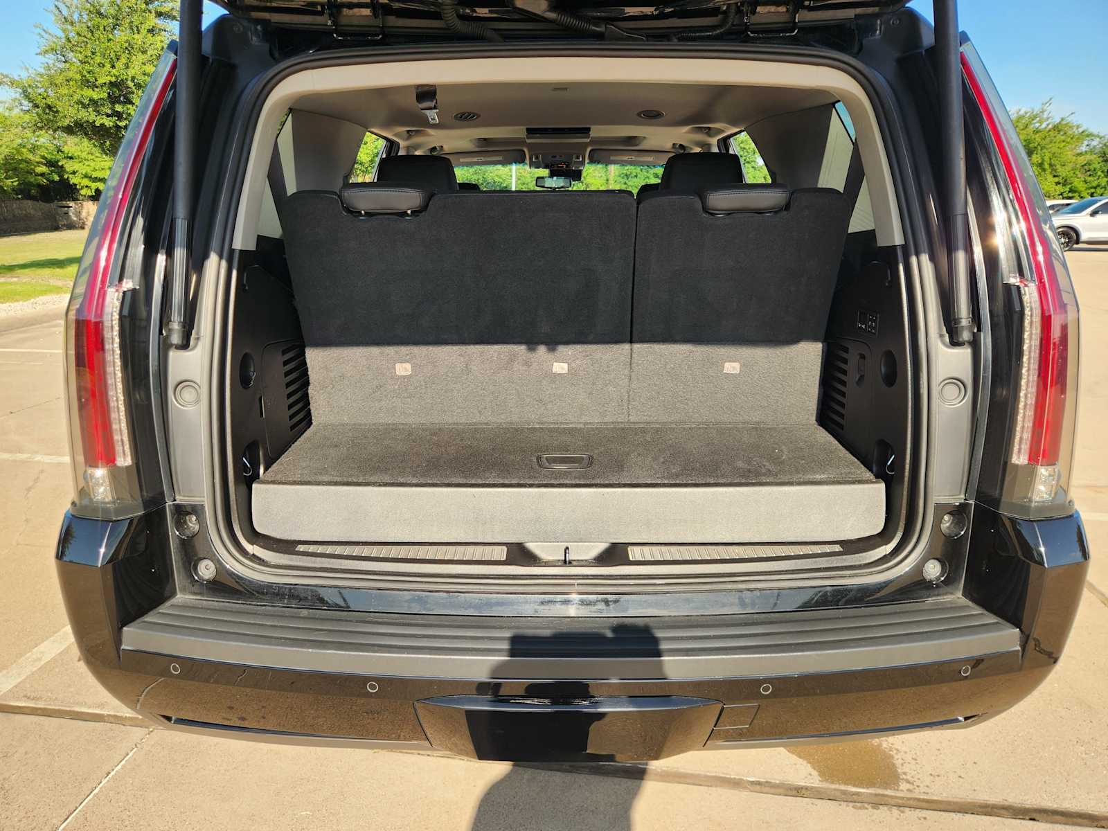 Thumbnail: 2019 Cadillac Escalade - 19