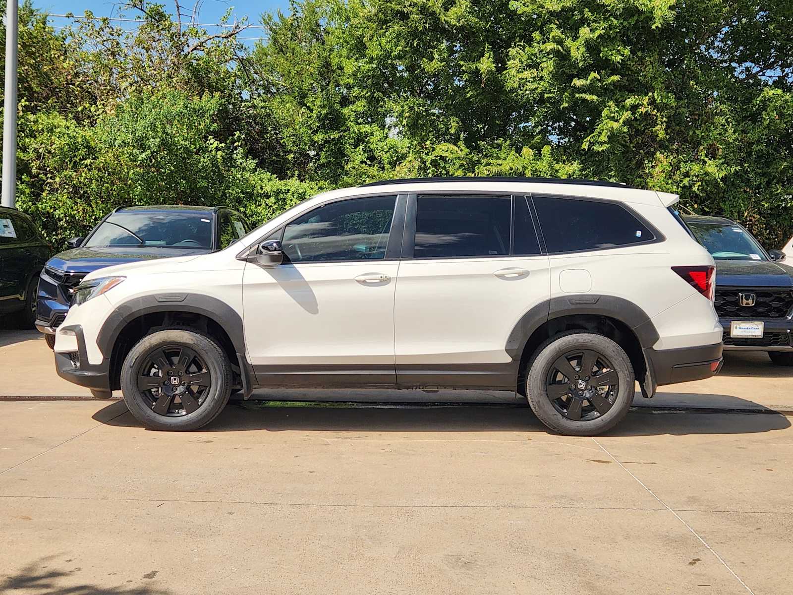 2022 Honda Pilot TrailSport photo 3