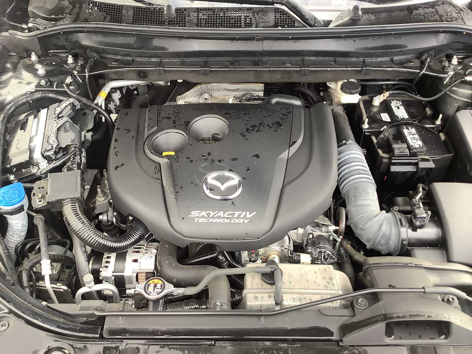 Thumbnail: 2019 Mazda CX-5 - 8