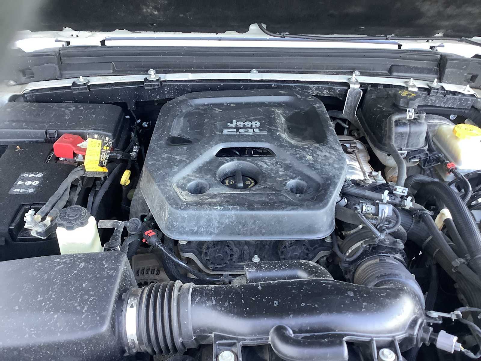 Thumbnail: 2021 Jeep Wrangler - 8