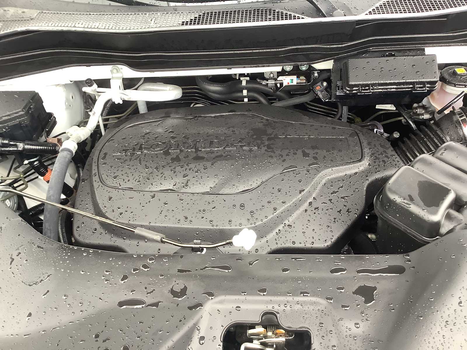 Thumbnail: 2023 Honda Passport - 10