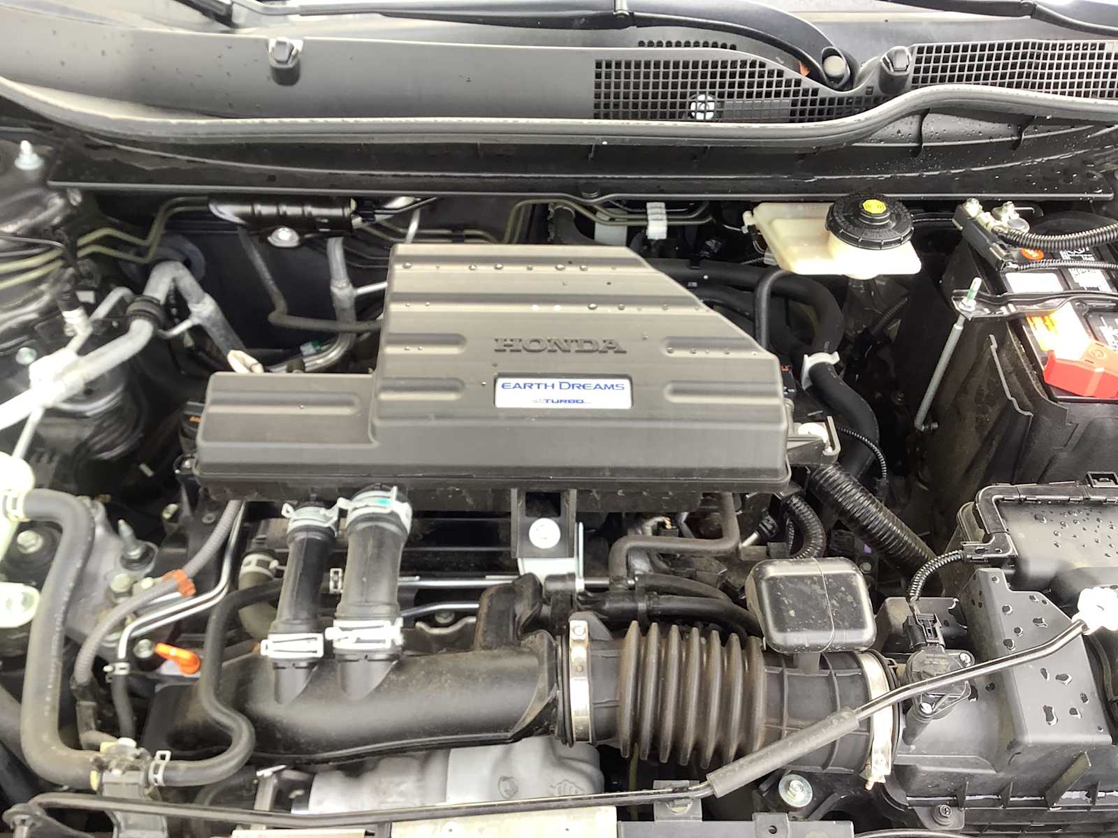 2019 Honda CR-V EX-L - Photo 8