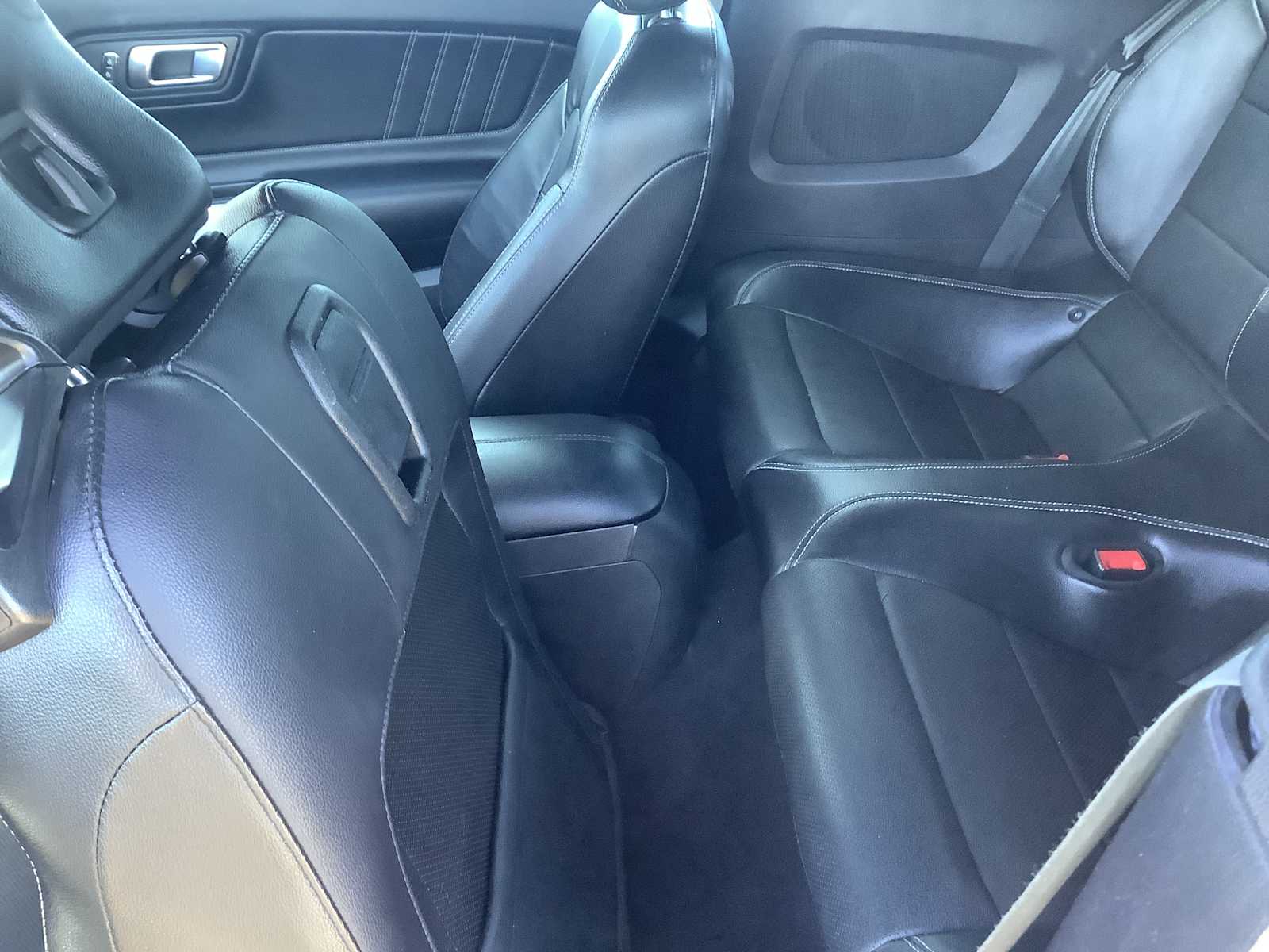 2019 Ford Mustang GT Premium - Photo 12